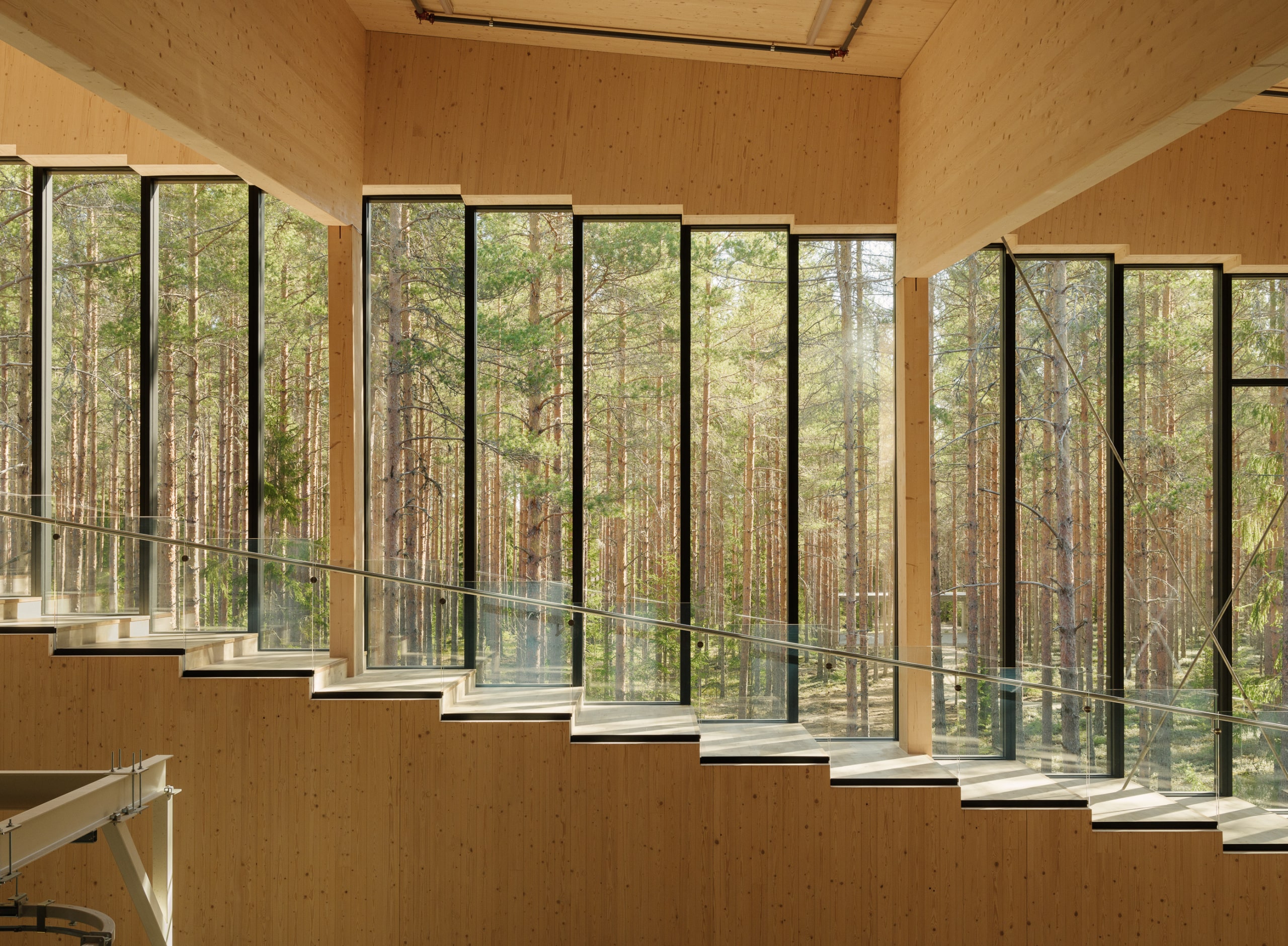 Blick auf eine Treppe und eine Wand aus Holz mit Fenstern, hinter denen Wald zu sehen ist.
