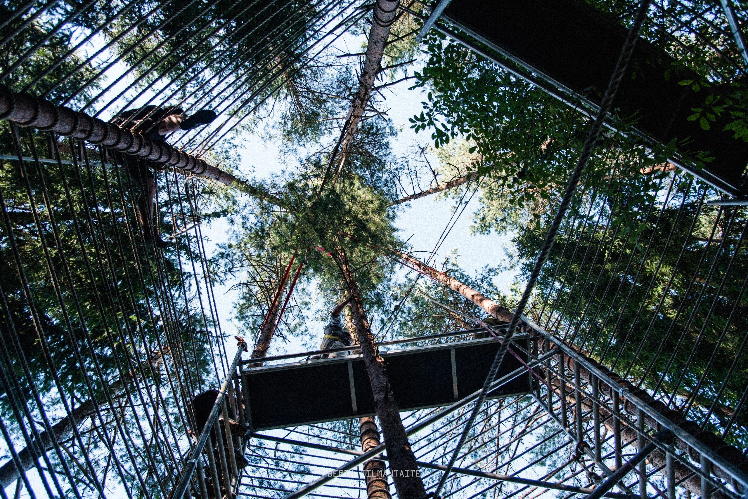 Architektur im Wald