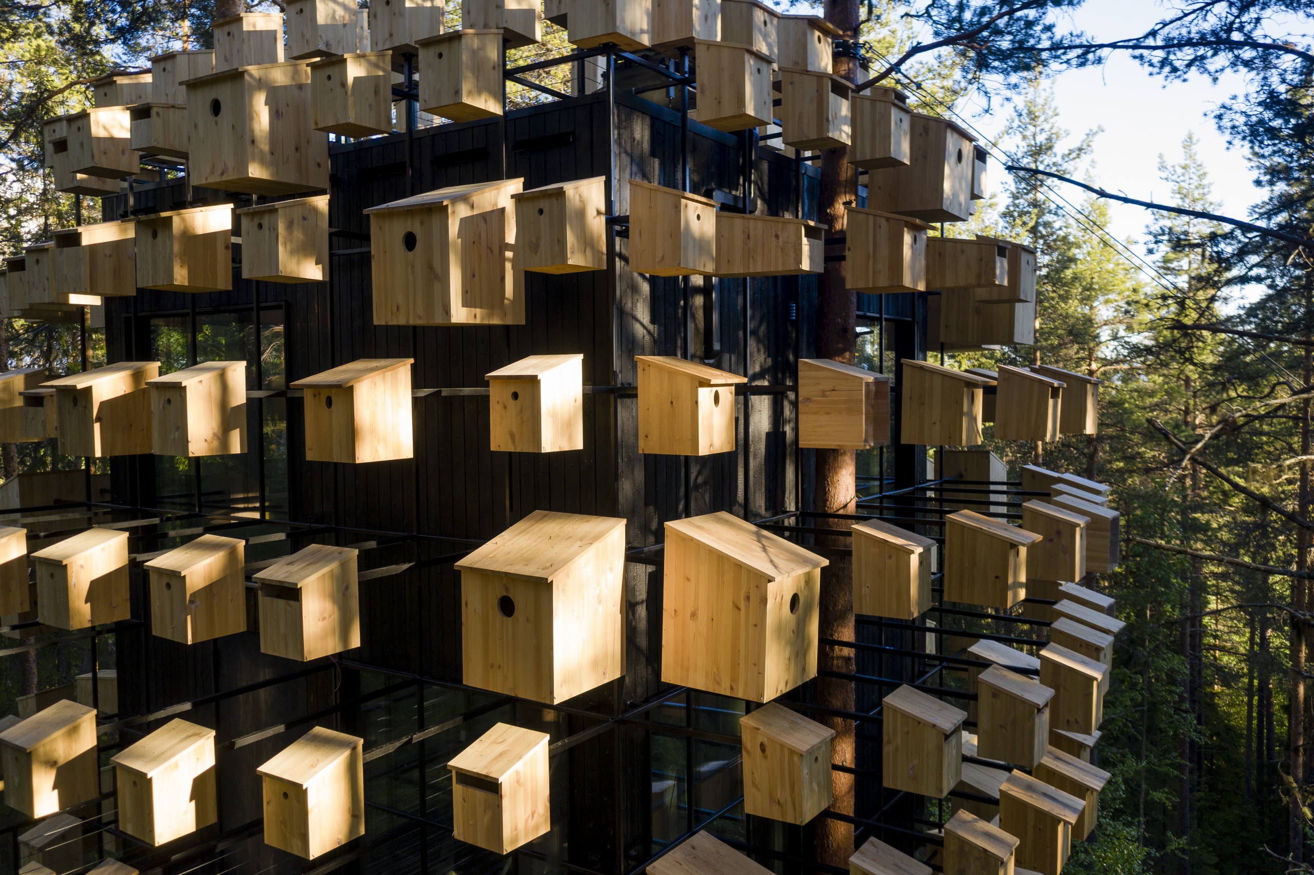 In Schweden dient ein Baumhaus als ganz besonderes Hotelzimmer: das Biosphere Treehouse. Es ist umgeben von 350 Vogelhäusern.Foto: Barke Ingels Group - BIG