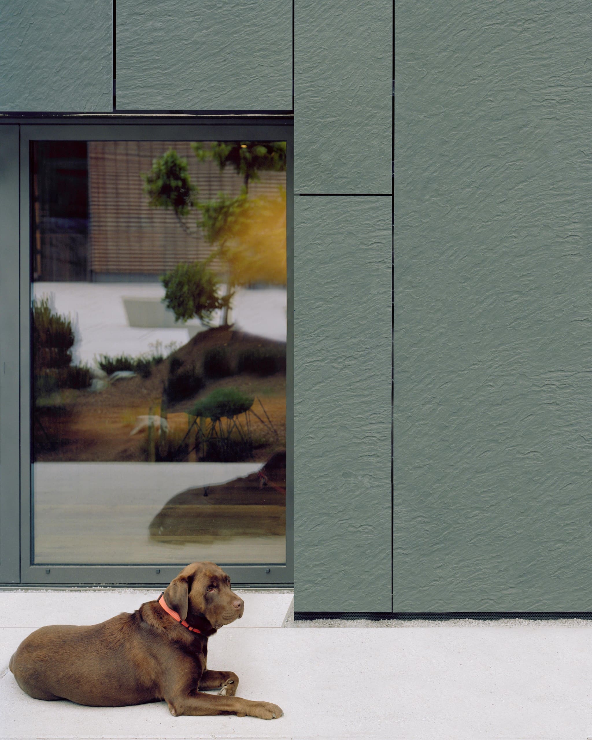 Ein Hund liegt auf einer Terrasse vor einem Gebäude mit dunkelgrauer Steinfassade. Foto: Rieder Group/Rasmus Norlander