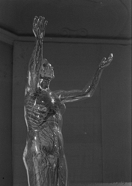„Die gläserne Frau“ im Hygiene-Museum 1947, Foto: © SLUB / Deutsche Fotothek / Roger & Renate Rössing