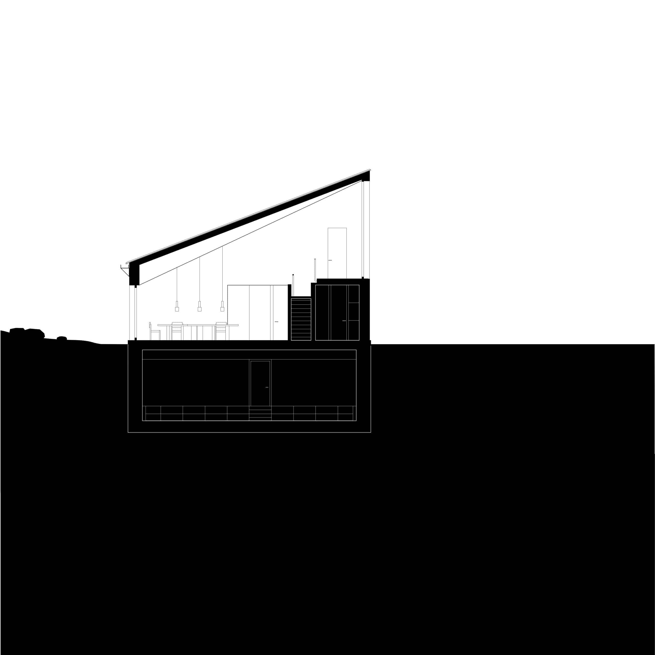 An einem großen Grundstück am See haben Appels Architekten ein schwarzes Holz-Haus gebaut, welches fast in seiner Umgebung verschwindet. Foto: Florian Holzherr