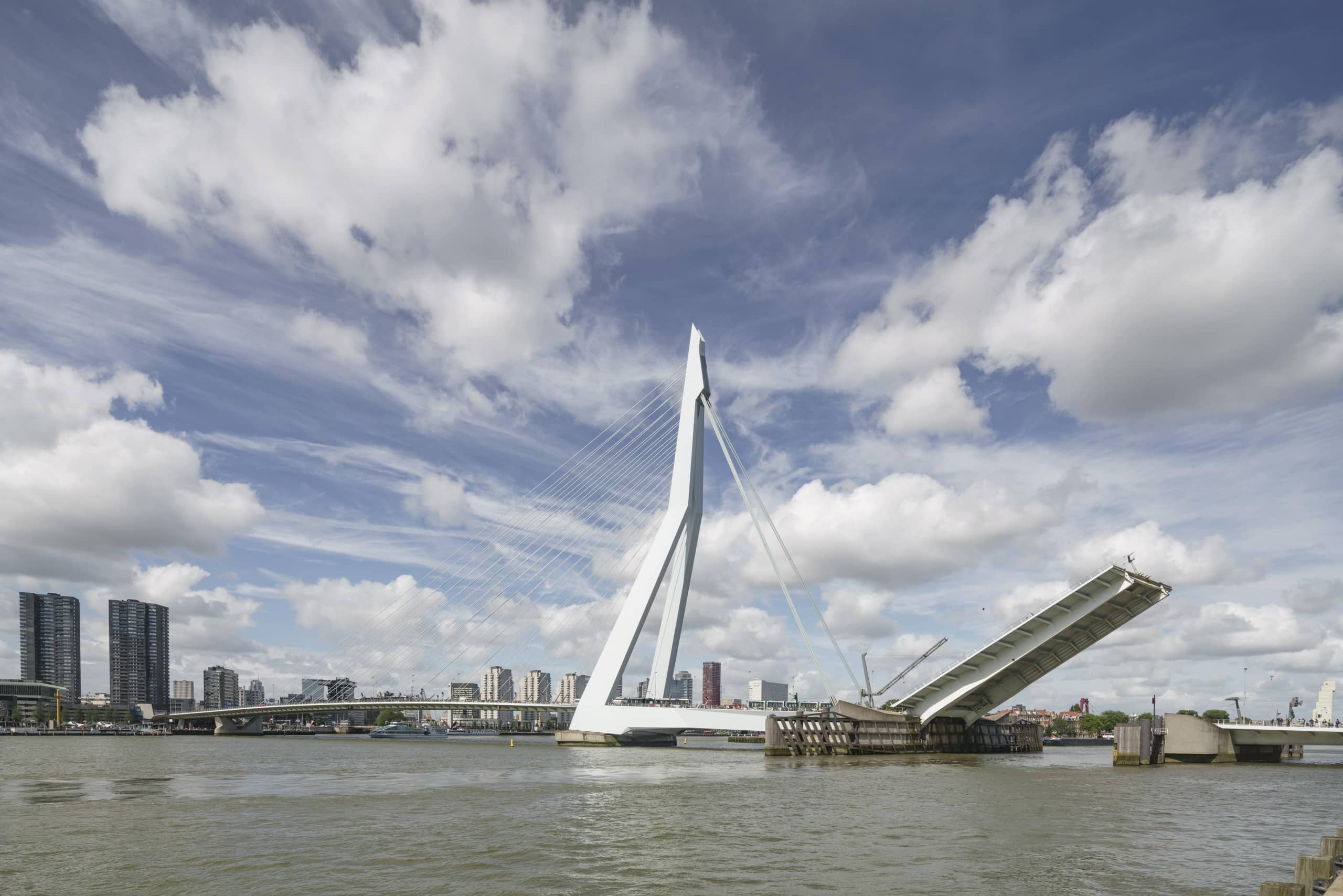Die Erasmusbrücke ist das Wahrzeichen Rotterdams. Foto: ©Ronald Tilleman